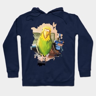 Pet Parrot Hoodie